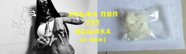 spice Вяземский